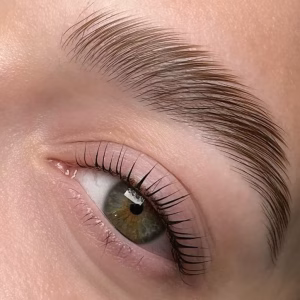 Micro pigmentación de Cejas – Técnica Hairstroke